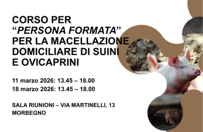 Banner corso macellazione domiciliare